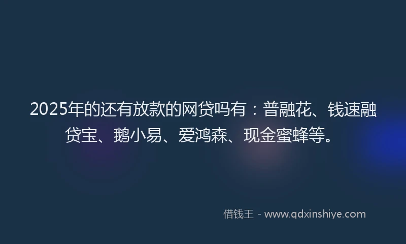 2025年的还有放款的网贷吗有：普融花、钱速融贷宝、鹅小易、爱鸿森、现金蜜蜂等。