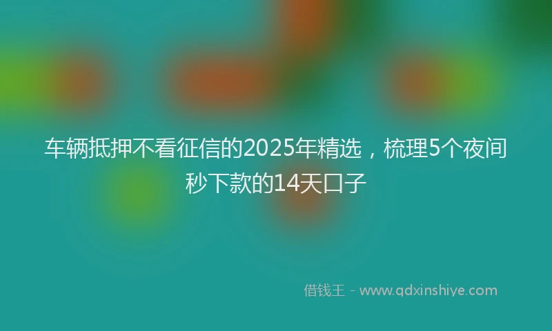 车辆抵押不看征信的2025年精选，梳理5个夜间秒下款的14天口子