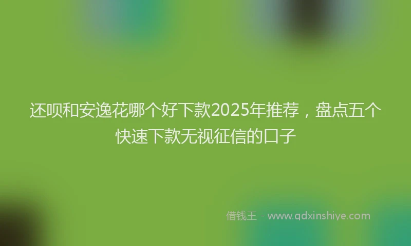 还呗和安逸花哪个好下款2025年推荐，盘点五个快速下款无视征信的口子