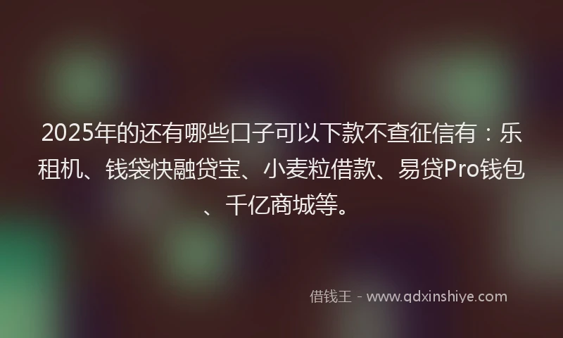 2025年的还有哪些口子可以下款不查征信有：乐租机、钱袋快融贷宝、小麦粒借款、易贷Pro钱包、千亿商城等。