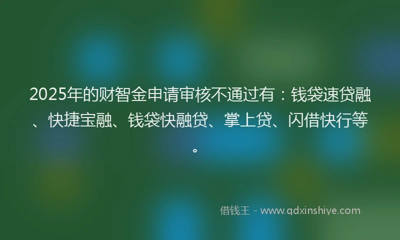 2025年的财智金申请审核不通过有：钱袋速贷融、快捷宝融、钱袋快融贷、掌上贷、闪借快行等。