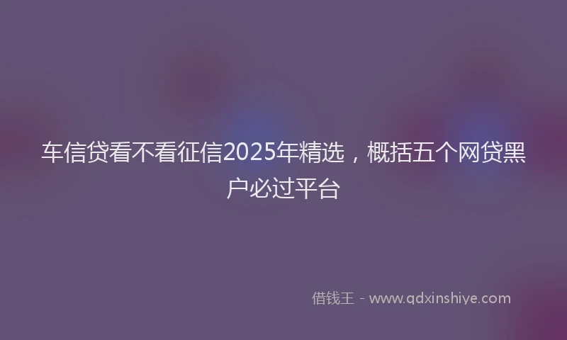 车信贷看不看征信2025年精选，概括五个网贷黑户必过平台