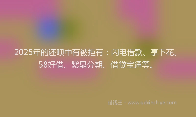 2025年的还呗中有被拒有：闪电借款、享下花、58好借、紫晶分期、借贷宝通等。
