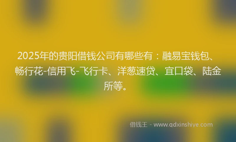 2025年的贵阳借钱公司有哪些有：融易宝钱包、畅行花-信用飞-飞行卡、洋葱速贷、宜口袋、陆金所等。