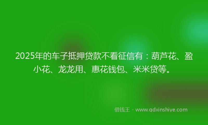 2025年的车子抵押贷款不看征信有：葫芦花、盈小花、龙龙用、惠花钱包、米米贷等。
