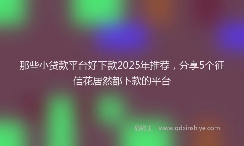 那些小贷款平台好下款2025年推荐，分享5个征信花居然都下款的平台