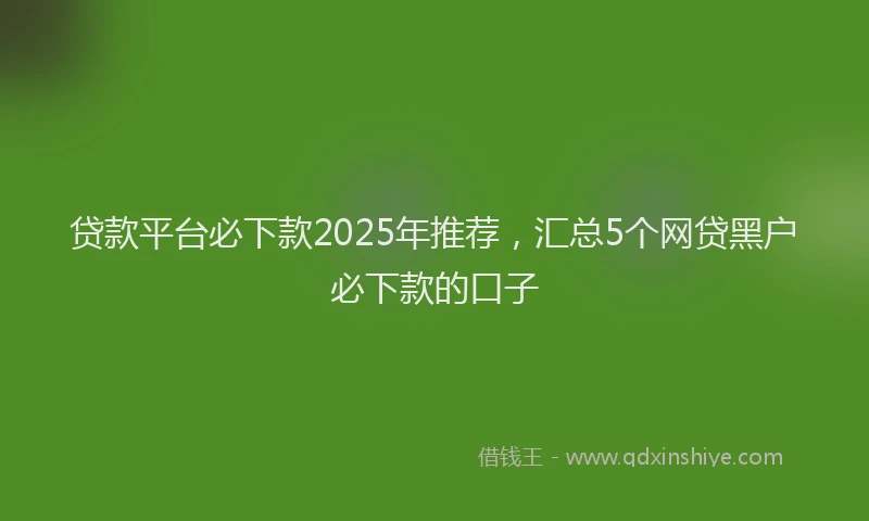 贷款平台必下款2025年推荐，汇总5个网贷黑户必下款的口子