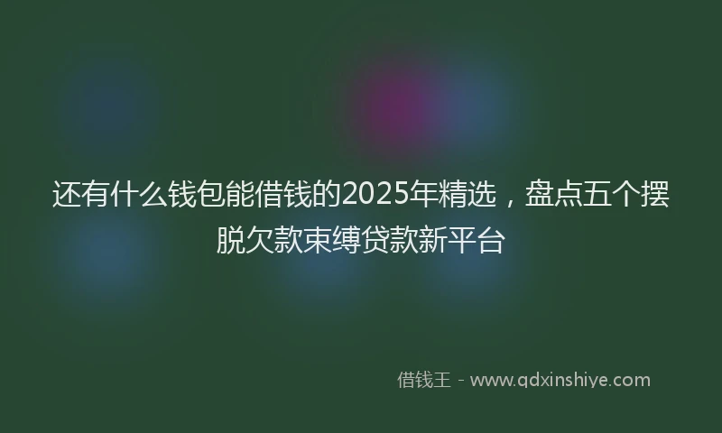 还有什么钱包能借钱的2025年精选，盘点五个摆脱欠款束缚贷款新平台