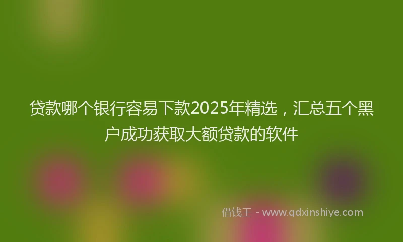 贷款哪个银行容易下款2025年精选，汇总五个黑户成功获取大额贷款的软件
