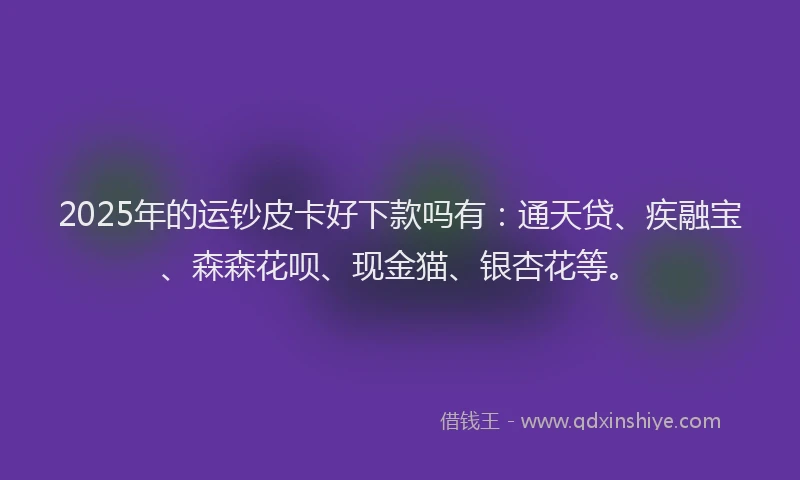 2025年的运钞皮卡好下款吗有：通天贷、疾融宝、森森花呗、现金猫、银杏花等。