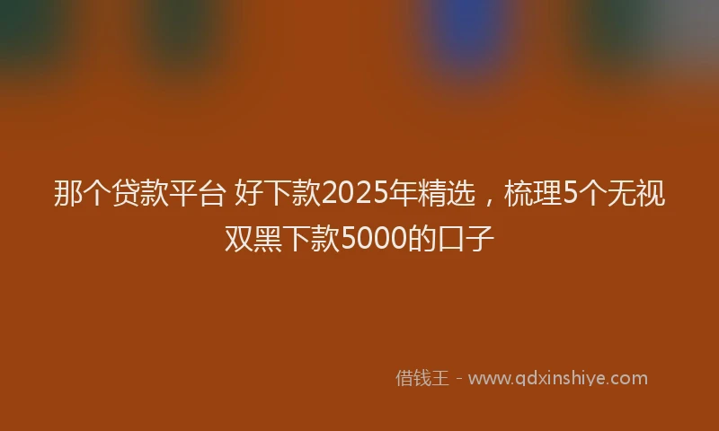 那个贷款平台 好下款2025年精选，梳理5个无视双黑下款5000的口子