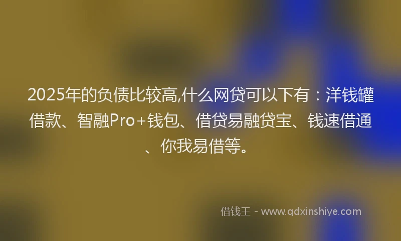 2025年的负债比较高,什么网贷可以下有：洋钱罐借款、智融Pro+钱包、借贷易融贷宝、钱速借通、你我易借等。