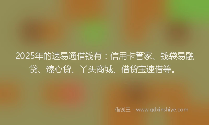 2025年的速易通借钱有：信用卡管家、钱袋易融贷、臻心贷、丫头商城、借贷宝速借等。