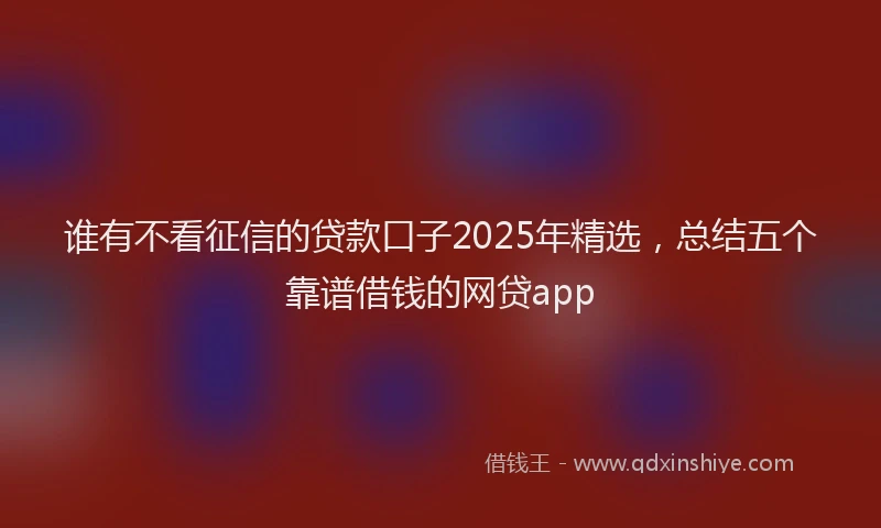 谁有不看征信的贷款口子2025年精选，总结五个靠谱借钱的网贷app