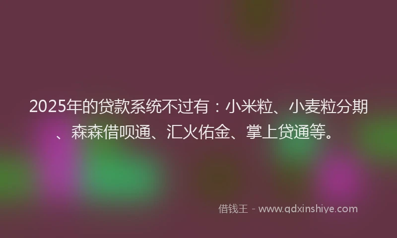 2025年的贷款系统不过有：小米粒、小麦粒分期、森森借呗通、汇火佑金、掌上贷通等。