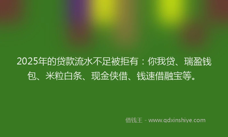 2025年的贷款流水不足被拒有：你我贷、瑞盈钱包、米粒白条、现金侠借、钱速借融宝等。