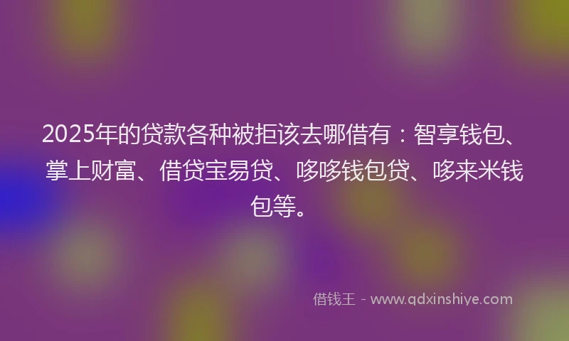 2025年的贷款各种被拒该去哪借有：智享钱包、掌上财富、借贷宝易贷、哆哆钱包贷、哆来米钱包等。