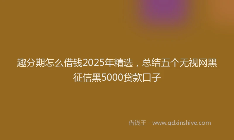 趣分期怎么借钱2025年精选，总结五个无视网黑征信黑5000贷款口子