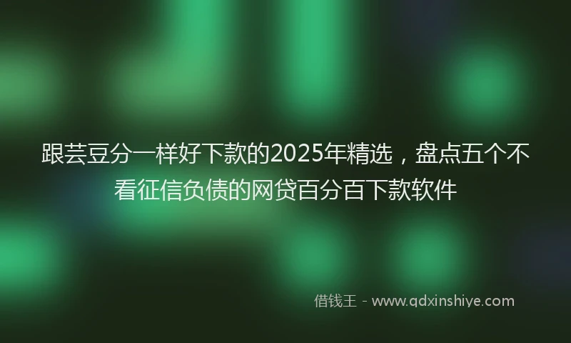 跟芸豆分一样好下款的2025年精选，盘点五个不看征信负债的网贷百分百下款软件
