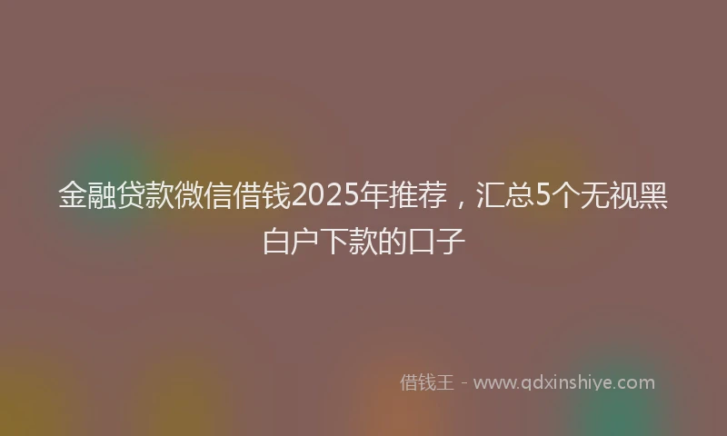金融贷款微信借钱2025年推荐，汇总5个无视黑白户下款的口子