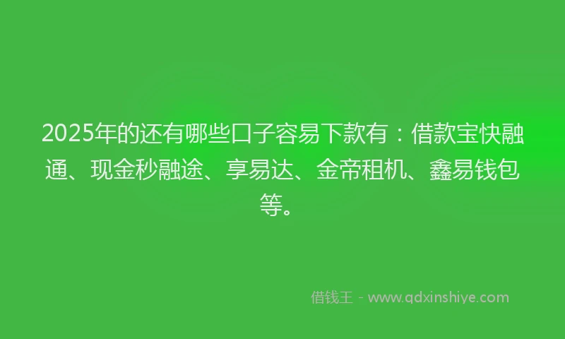 2025年的还有哪些口子容易下款有：借款宝快融通、现金秒融途、享易达、金帝租机、鑫易钱包等。