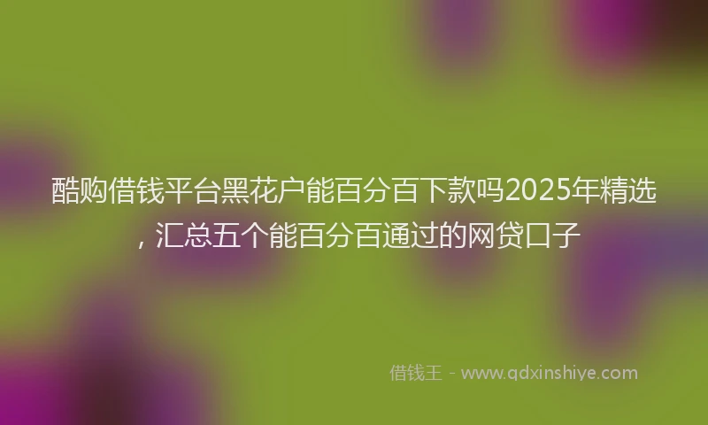 酷购借钱平台黑花户能百分百下款吗2025年精选，汇总五个能百分百通过的网贷口子