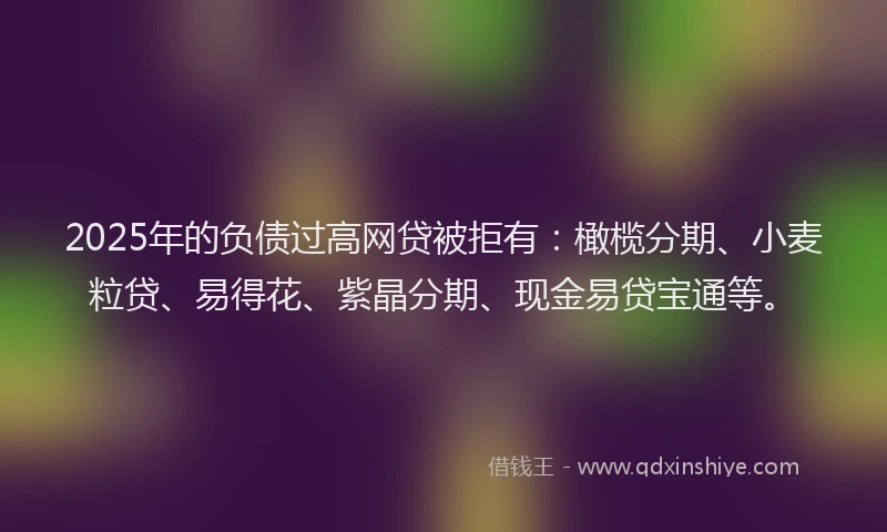 2025年的负债过高网贷被拒有：橄榄分期、小麦粒贷、易得花、紫晶分期、现金易贷宝通等。