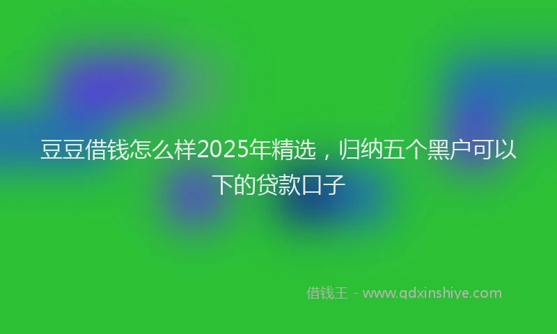 豆豆借钱怎么样2025年精选，归纳五个黑户可以下的贷款口子