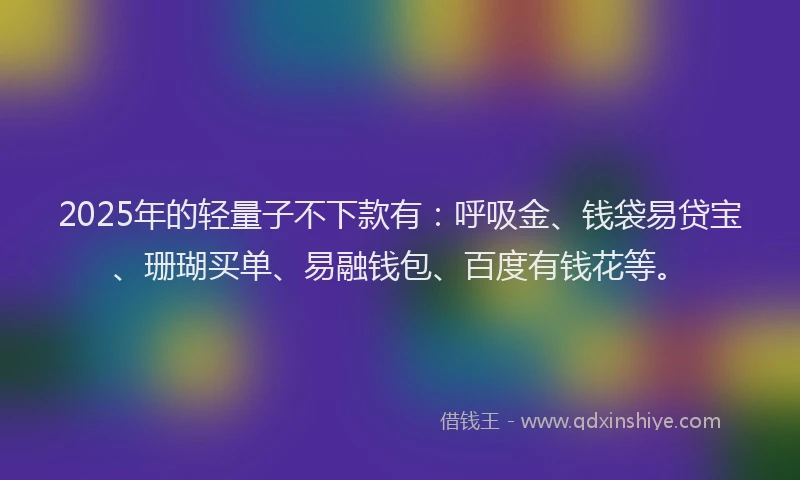 2025年的轻量子不下款有：呼吸金、钱袋易贷宝、珊瑚买单、易融钱包、百度有钱花等。