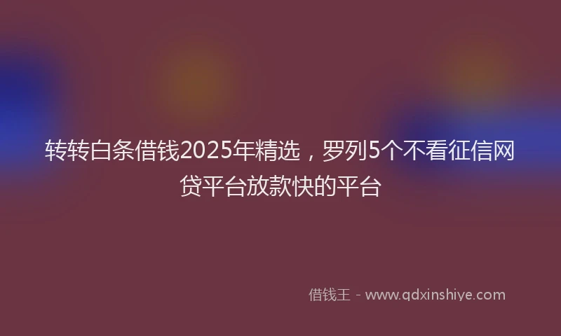 转转白条借钱2025年精选，罗列5个不看征信网贷平台放款快的平台