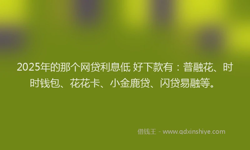 2025年的那个网贷利息低 好下款有：普融花、时时钱包、花花卡、小金鹿贷、闪贷易融等。
