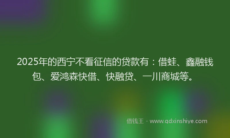 2025年的西宁不看征信的贷款有：借蛙、鑫融钱包、爱鸿森快借、快融贷、一川商城等。
