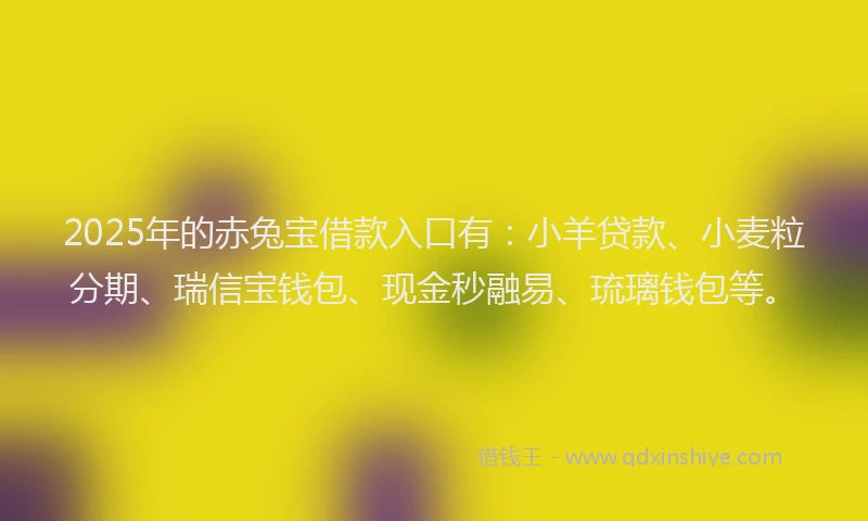 2025年的赤兔宝借款入口有：小羊贷款、小麦粒分期、瑞信宝钱包、现金秒融易、琉璃钱包等。