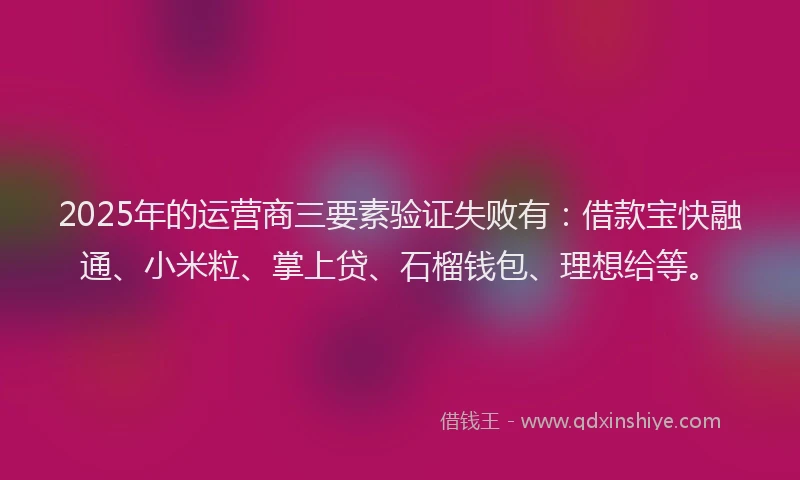 2025年的运营商三要素验证失败有：借款宝快融通、小米粒、掌上贷、石榴钱包、理想给等。