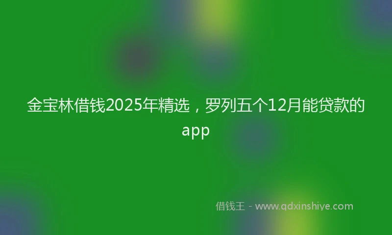 金宝林借钱2025年精选，罗列五个12月能贷款的app