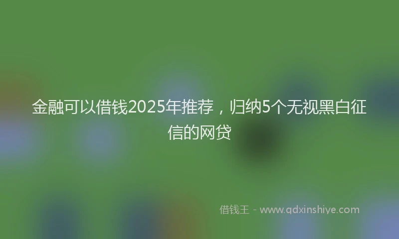 金融可以借钱2025年推荐，归纳5个无视黑白征信的网贷