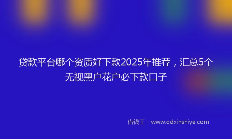 贷款平台哪个资质好下款2025年推荐，汇总5个无视黑户花户必下款口子
