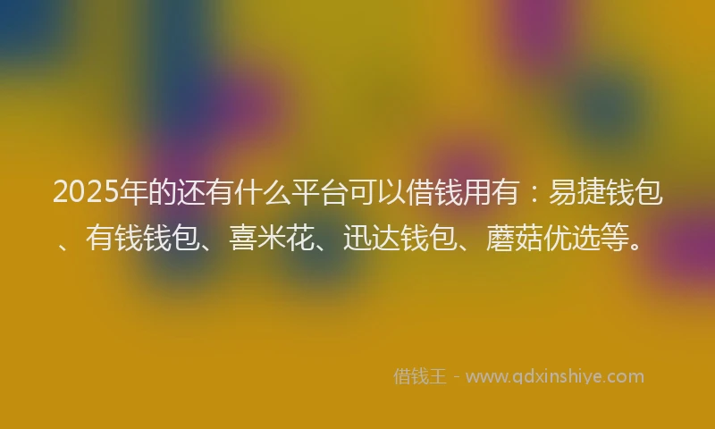 2025年的还有什么平台可以借钱用有：易捷钱包、有钱钱包、喜米花、迅达钱包、蘑菇优选等。