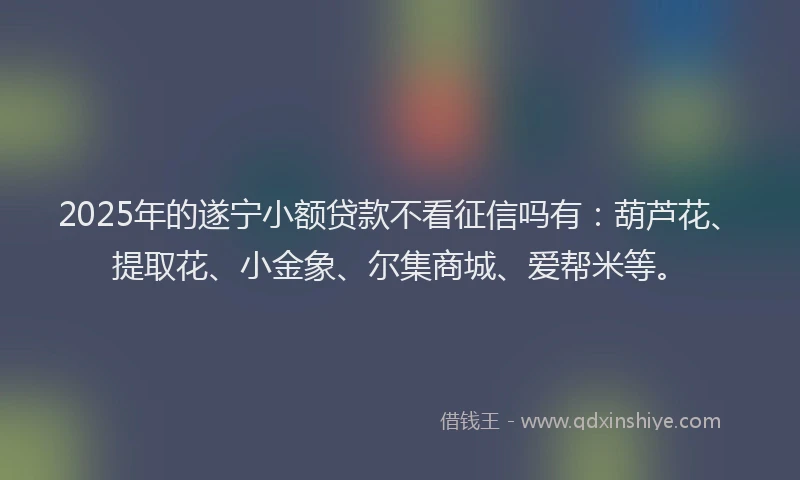 2025年的遂宁小额贷款不看征信吗有：葫芦花、提取花、小金象、尔集商城、爱帮米等。