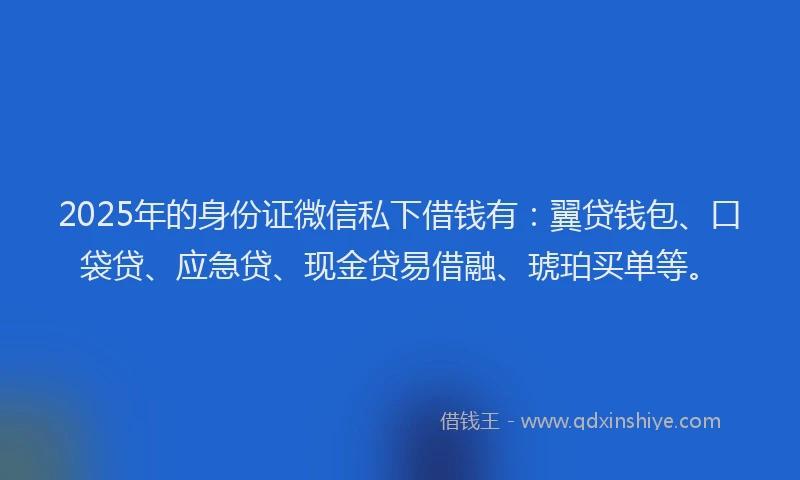 2025年的身份证微信私下借钱有：翼贷钱包、口袋贷、应急贷、现金贷易借融、琥珀买单等。