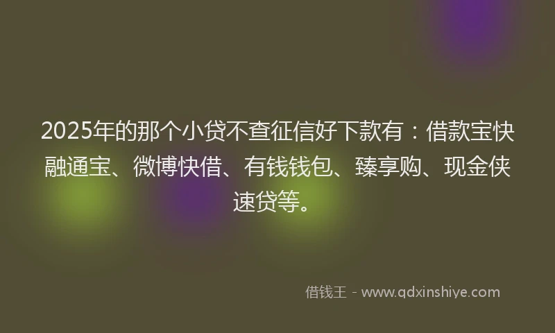 2025年的那个小贷不查征信好下款有：借款宝快融通宝、微博快借、有钱钱包、臻享购、现金侠速贷等。