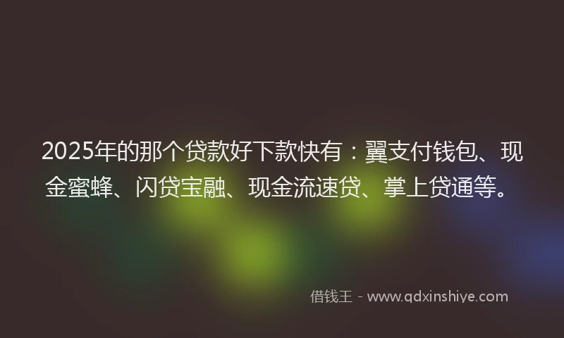 2025年的那个贷款好下款快有：翼支付钱包、现金蜜蜂、闪贷宝融、现金流速贷、掌上贷通等。