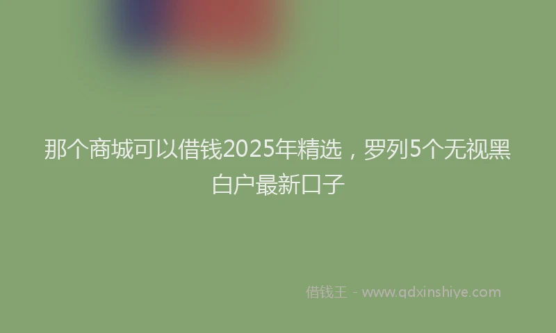 那个商城可以借钱2025年精选，罗列5个无视黑白户最新口子