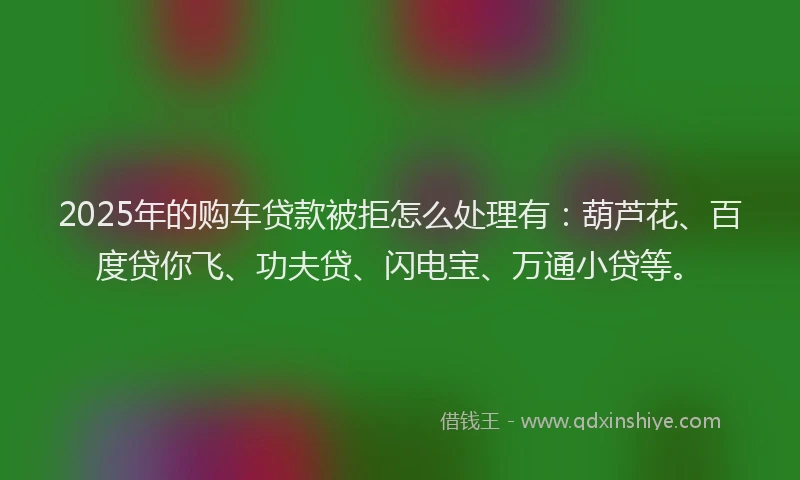 2025年的购车贷款被拒怎么处理有：葫芦花、百度贷你飞、功夫贷、闪电宝、万通小贷等。
