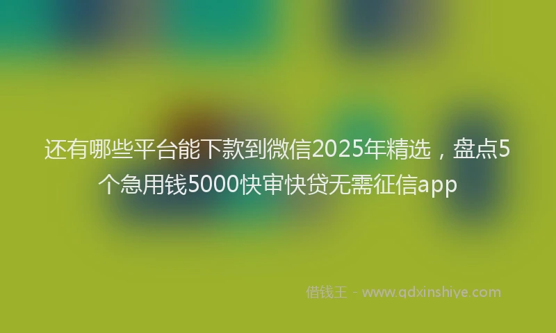 还有哪些平台能下款到微信2025年精选，盘点5个急用钱5000快审快贷无需征信app