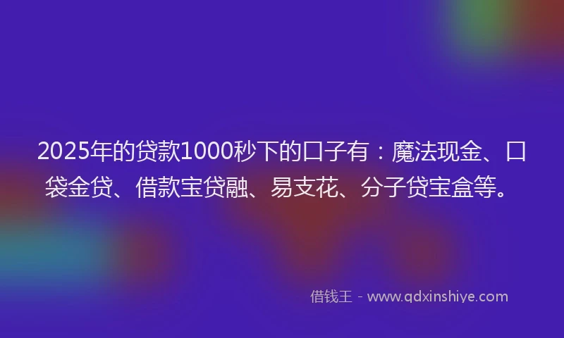 2025年的贷款1000秒下的口子有：魔法现金、口袋金贷、借款宝贷融、易支花、分子贷宝盒等。