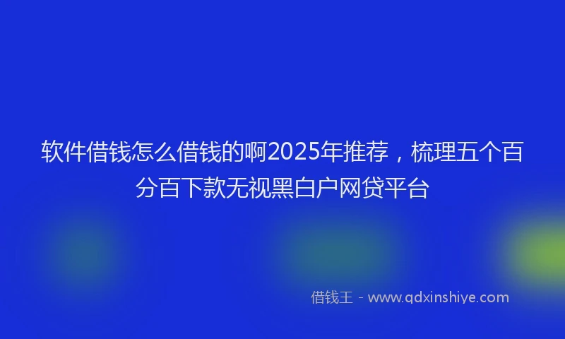 软件借钱怎么借钱的啊2025年推荐，梳理五个百分百下款无视黑白户网贷平台