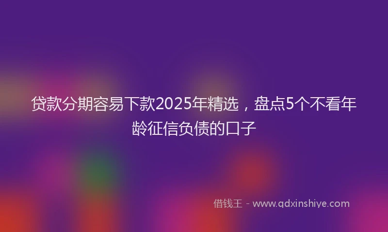 贷款分期容易下款2025年精选，盘点5个不看年龄征信负债的口子