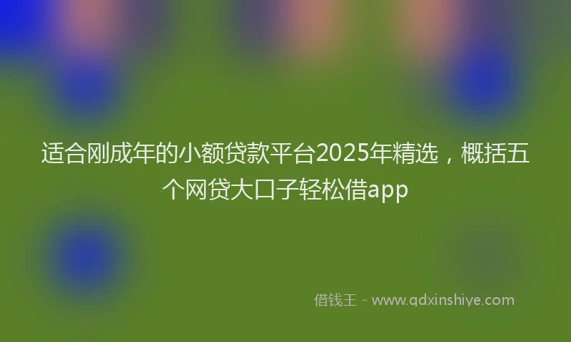 适合刚成年的小额贷款平台2025年精选，概括五个网贷大口子轻松借app
