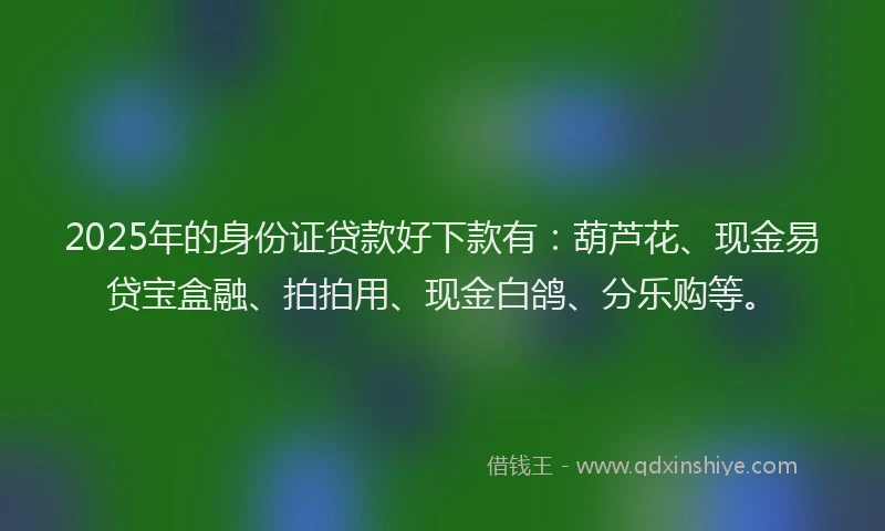 2025年的身份证贷款好下款有：葫芦花、现金易贷宝盒融、拍拍用、现金白鸽、分乐购等。